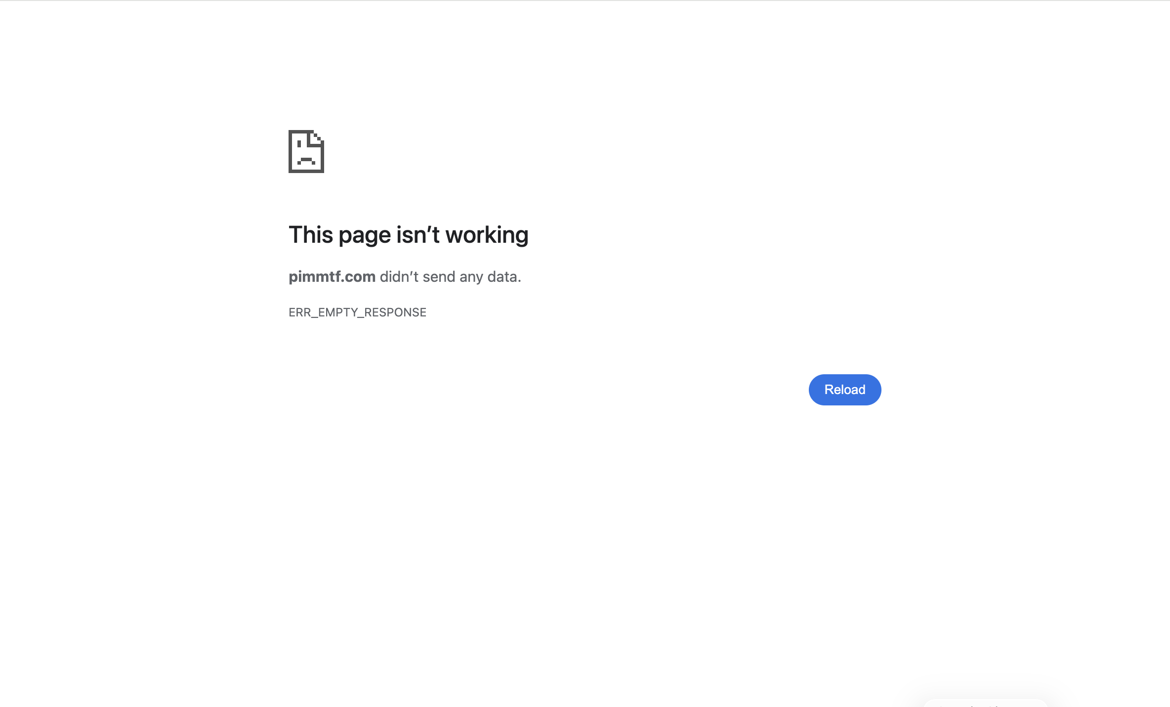 pimmtf.com pimmtf.com scam