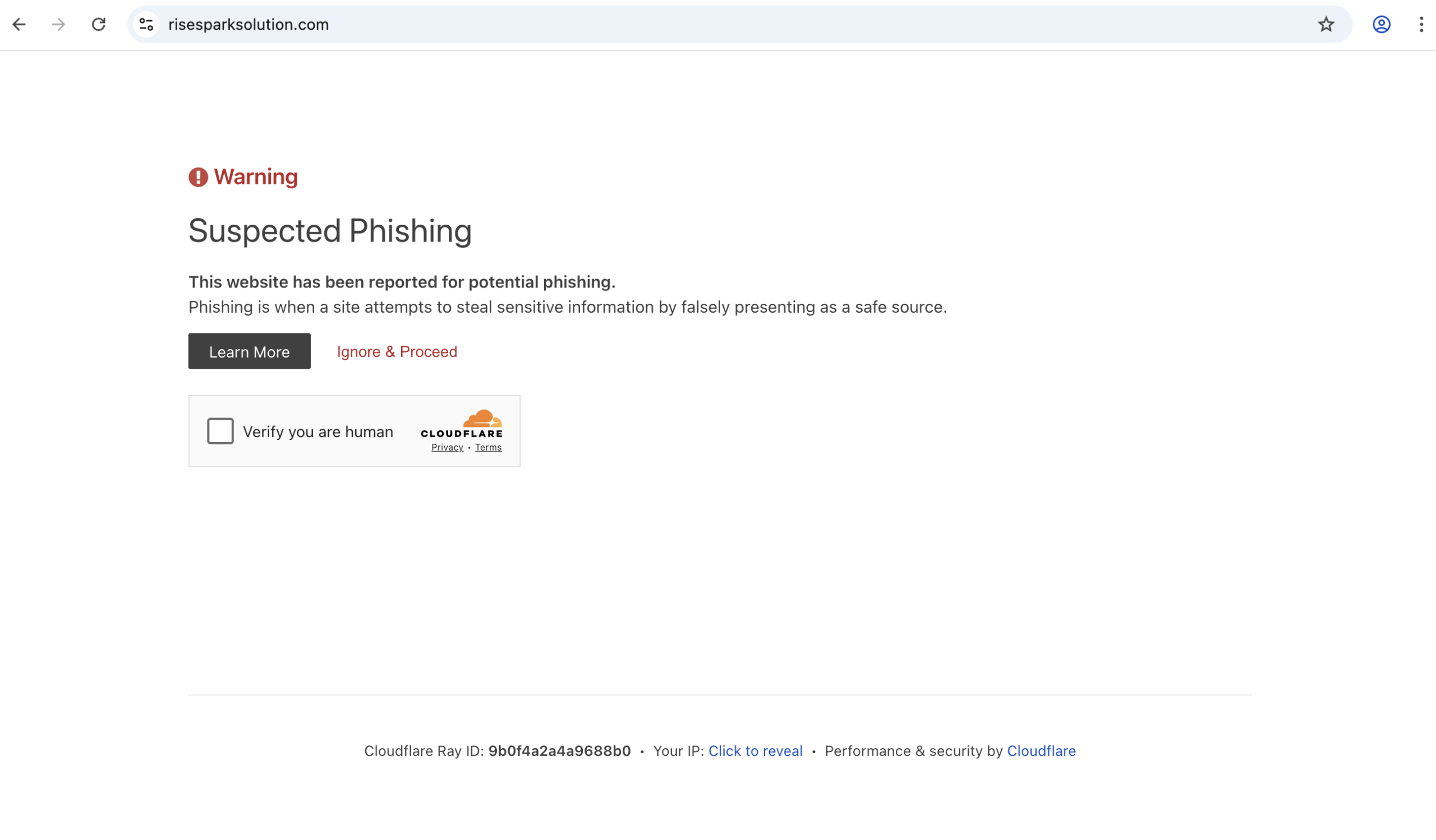 risesparksolution.com scam review