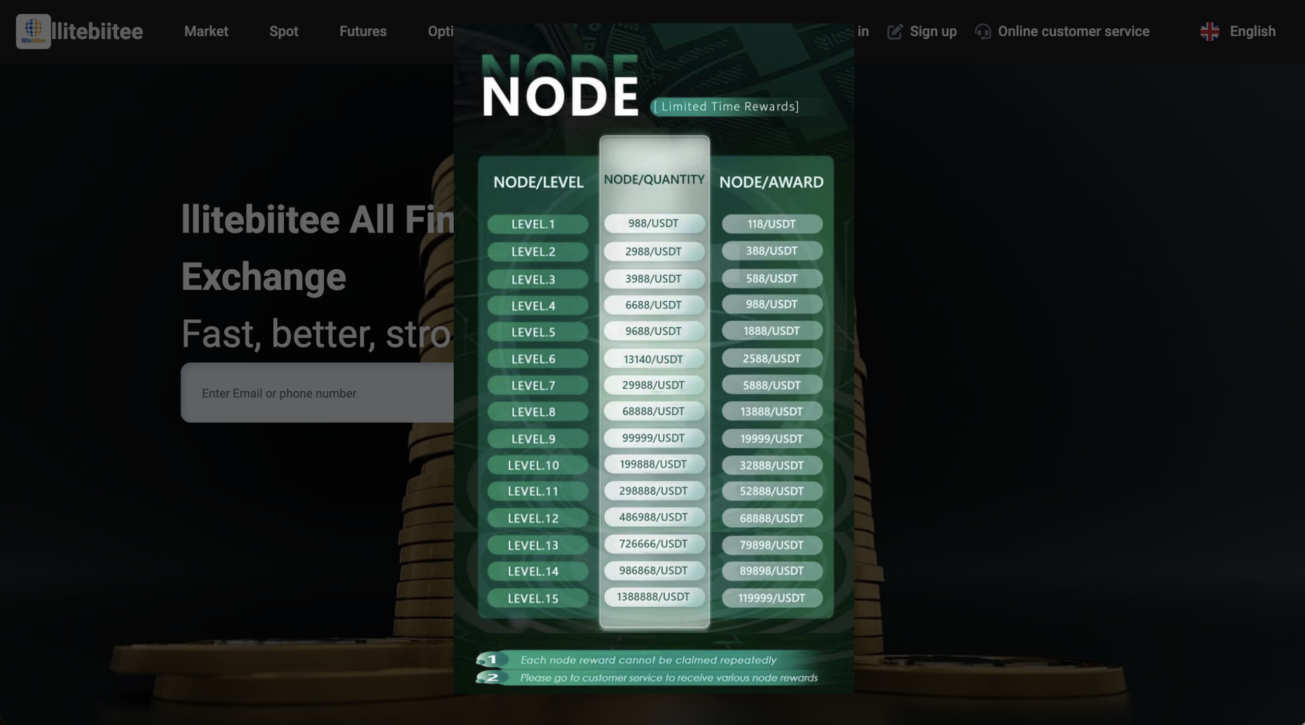 Warning signs and risks associated with Llitebiitee.com online investment platform