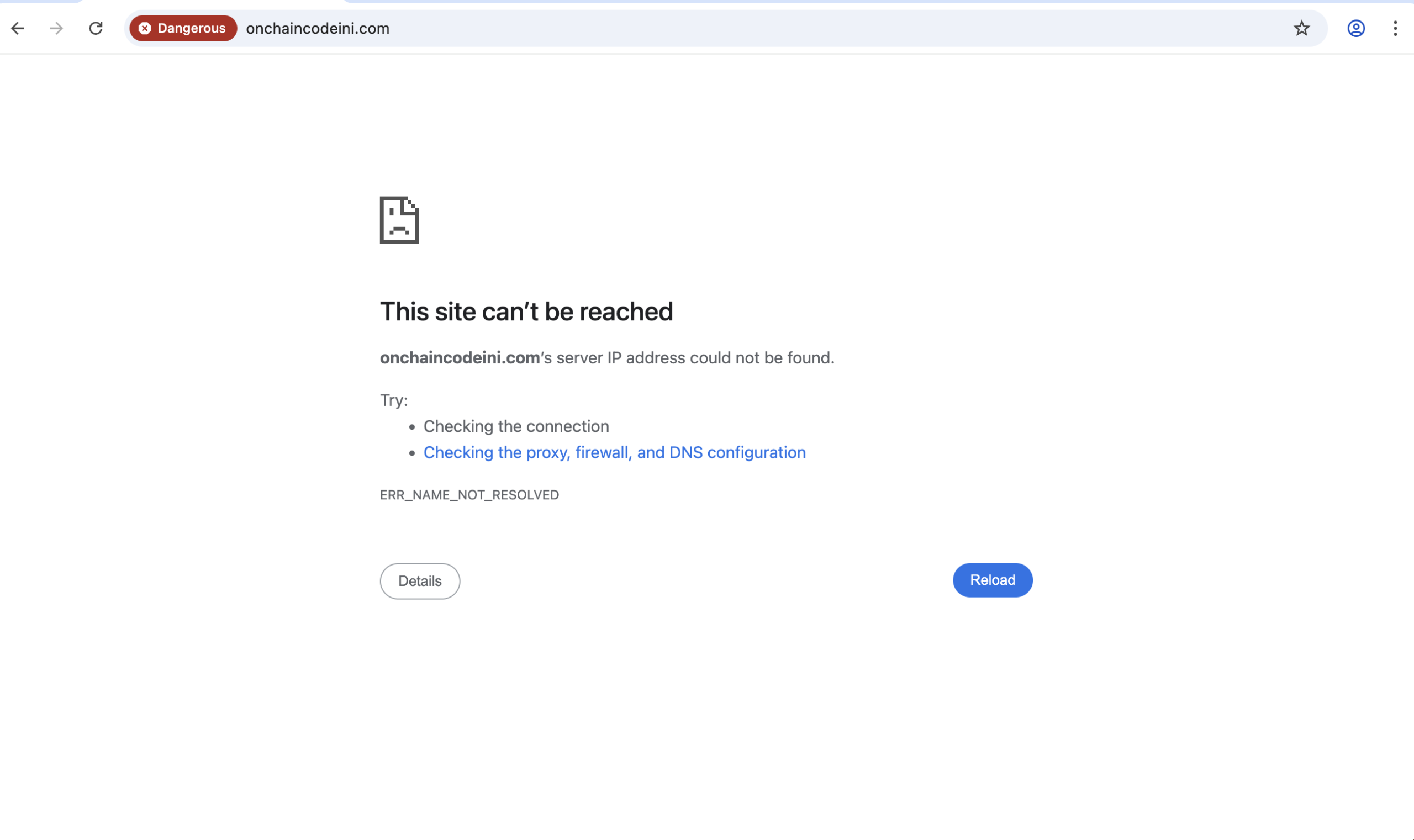 OnChainCodeINI: Warning about potential investment risks and scams.