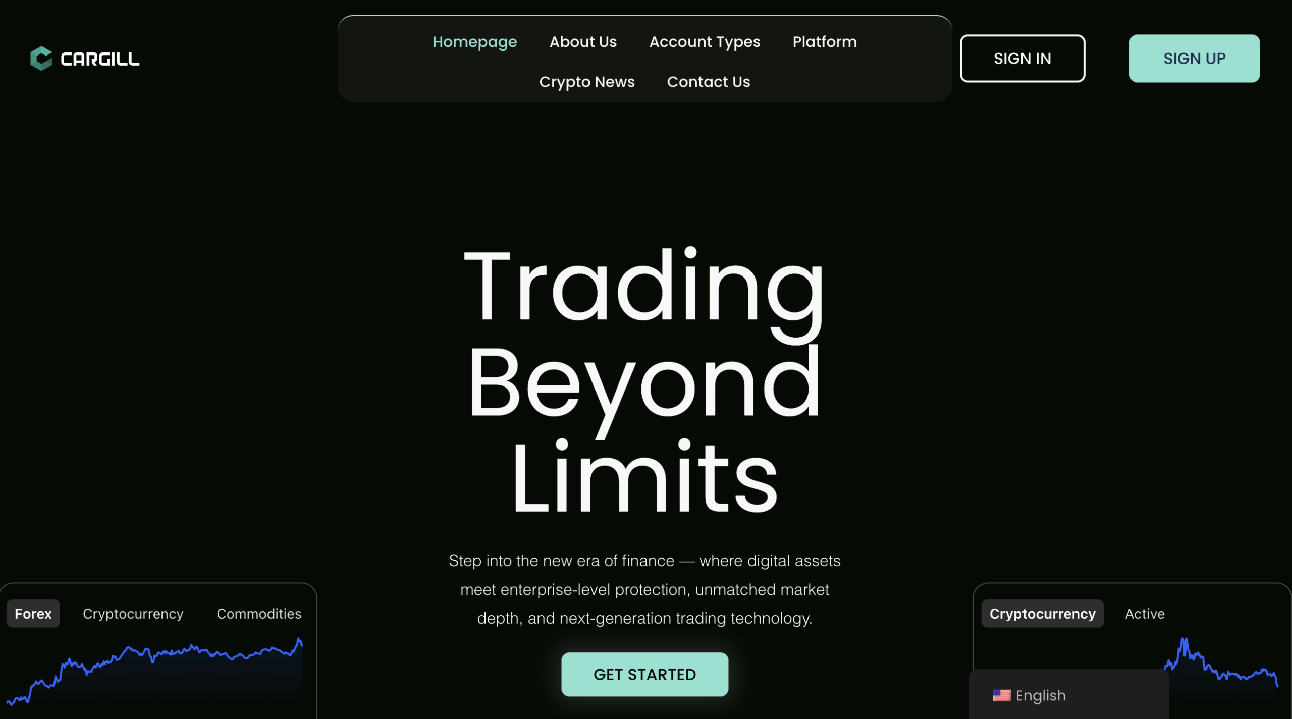 CargilFSE.ltd platform concerns