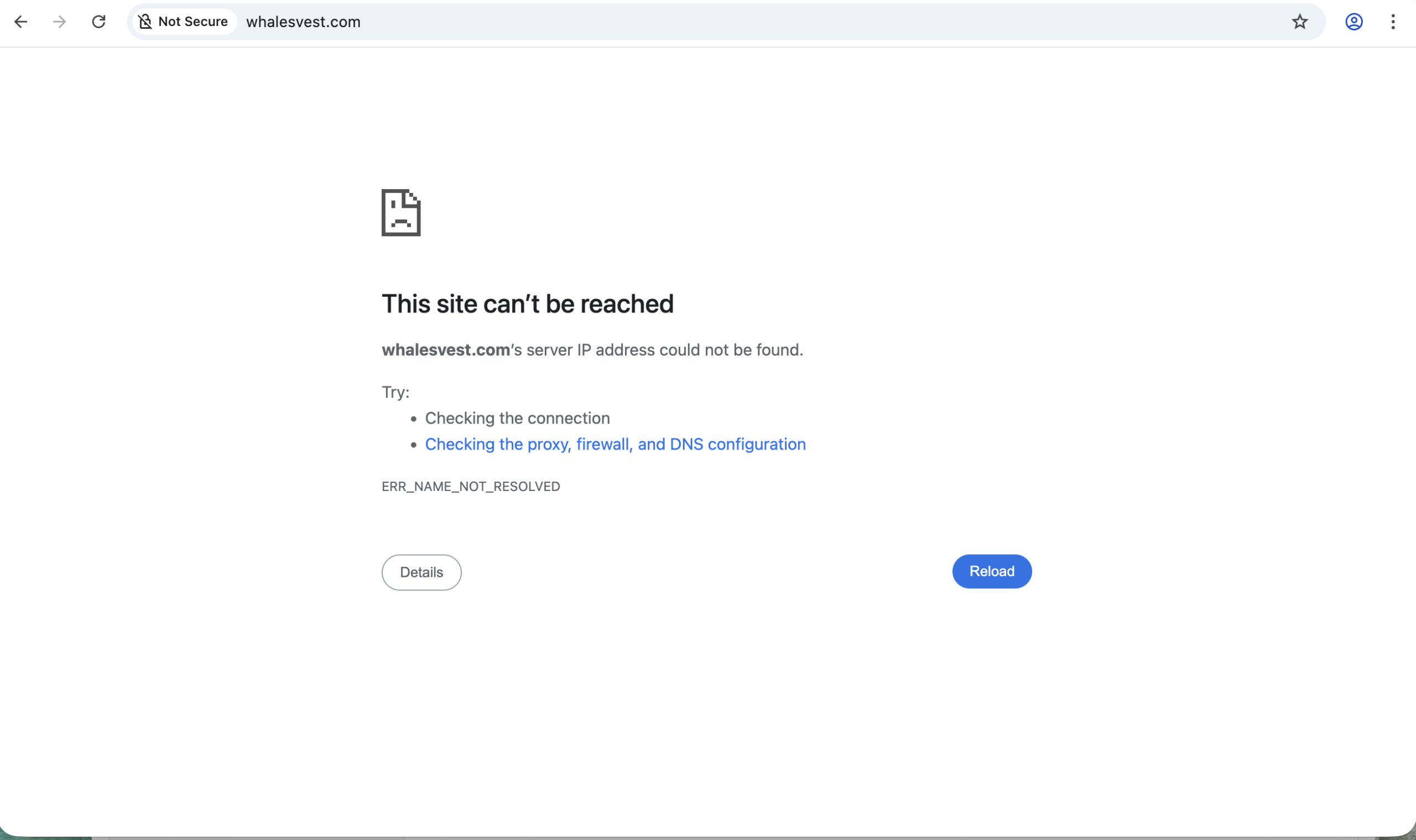whalesvest website warning