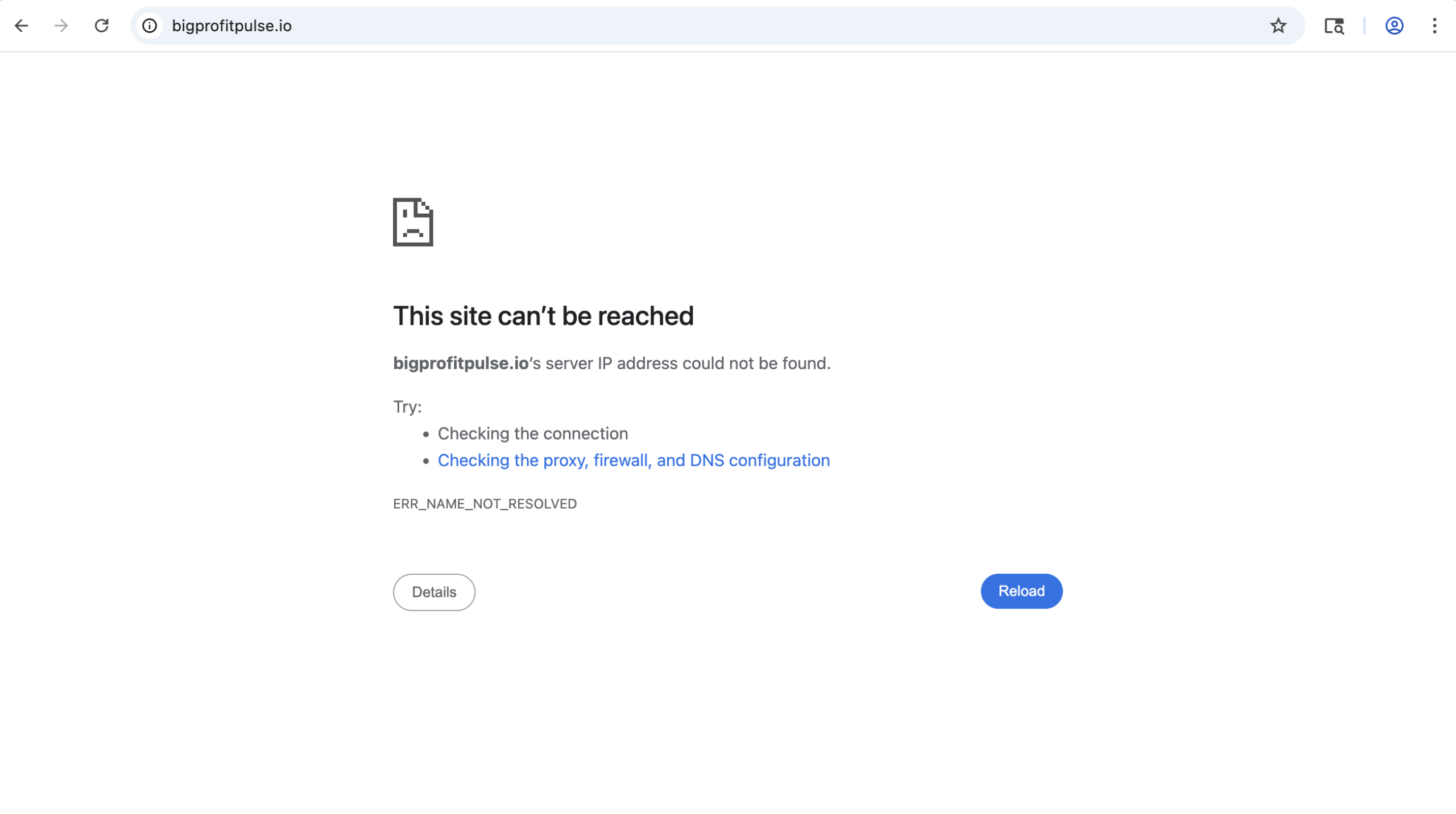 BigProfitPulse.net platform logo