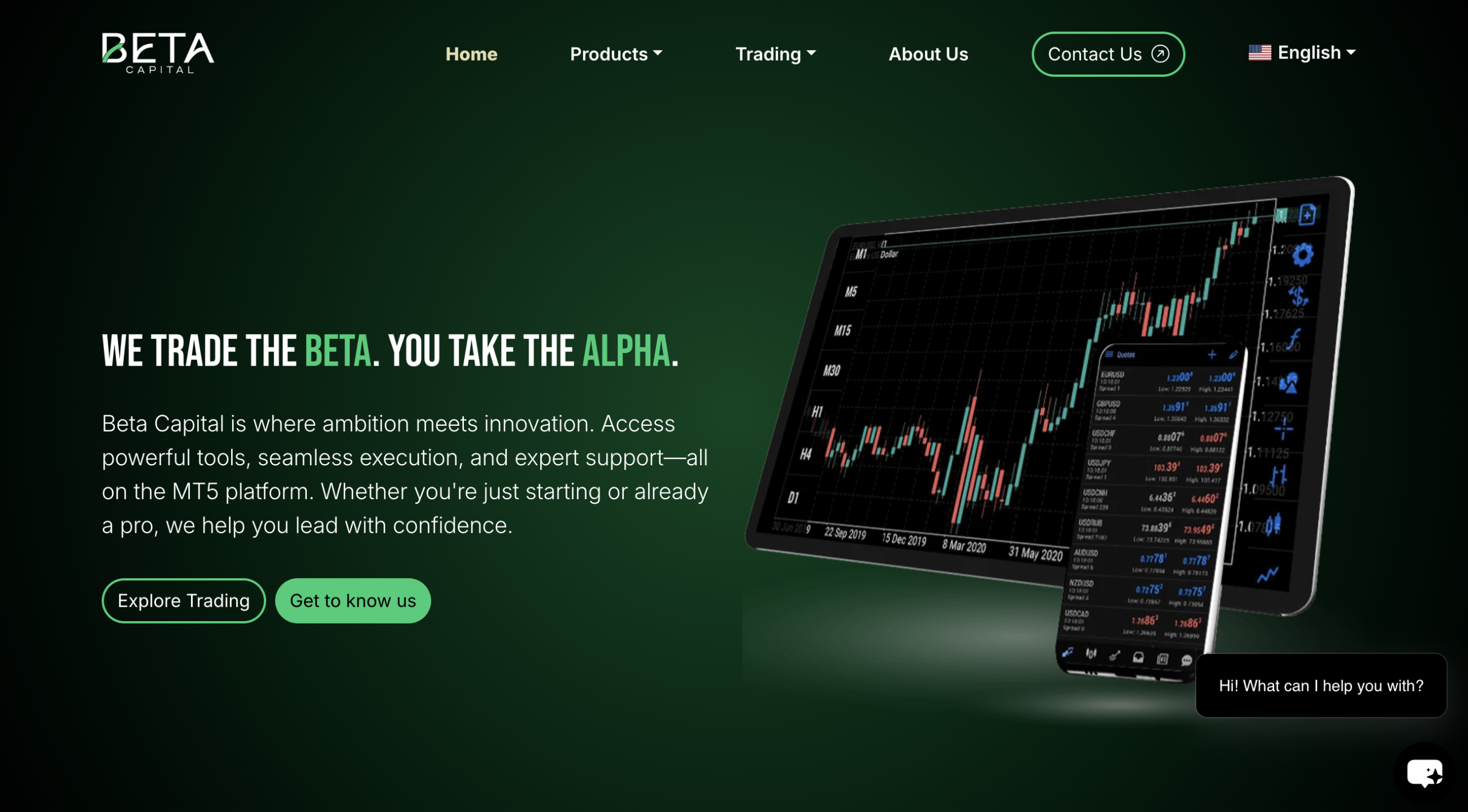 betacapitalx.com website snapshot