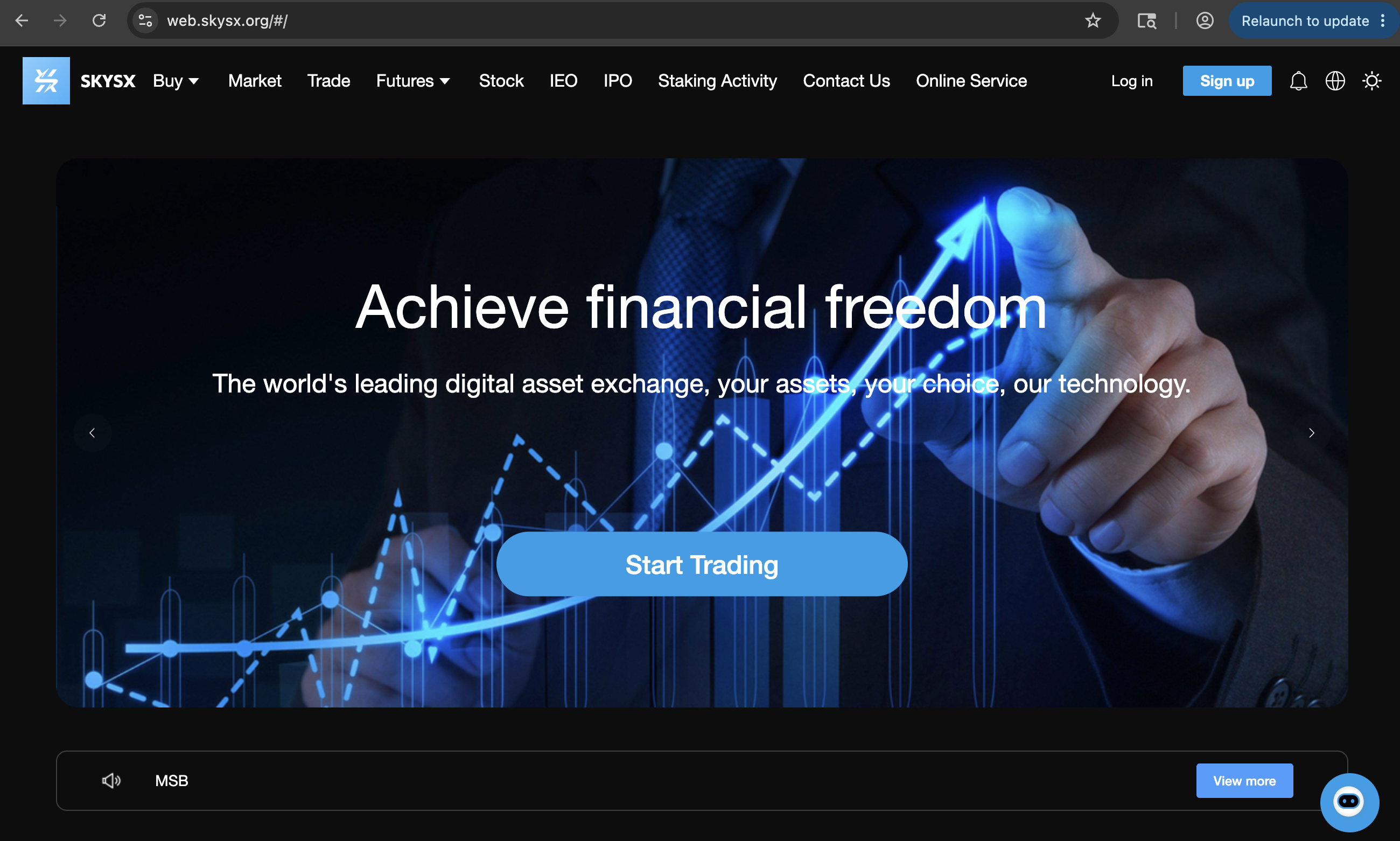 Image of a concerned investor reviewing Skysx.org, focusing on key warning signs and investment risks.